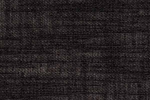 Transparant Linnenlook Zwart